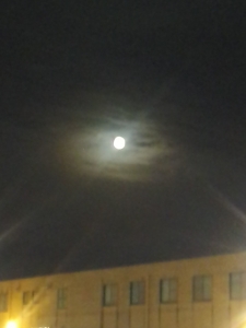 moon19.jpg