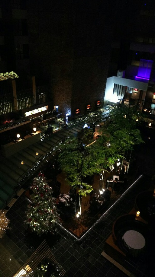 ストリングスホテル東京インターコンチネンタル夜間の画像
