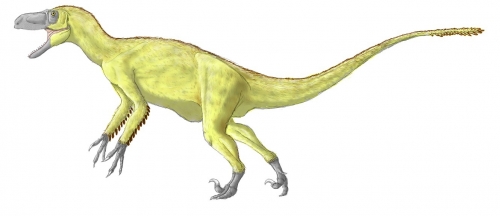 Utahraptor ostrommaysorum 003