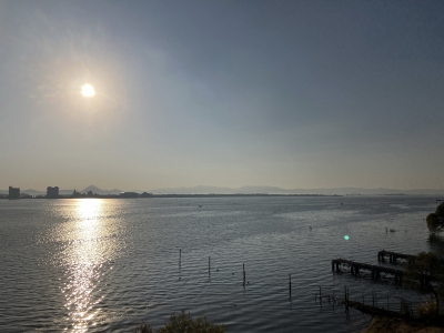 琵琶湖大橋西詰めから眺めた南湖は晴天軽風。湖上はたくさんのボートで賑わってます（11月19日8時20分頃）