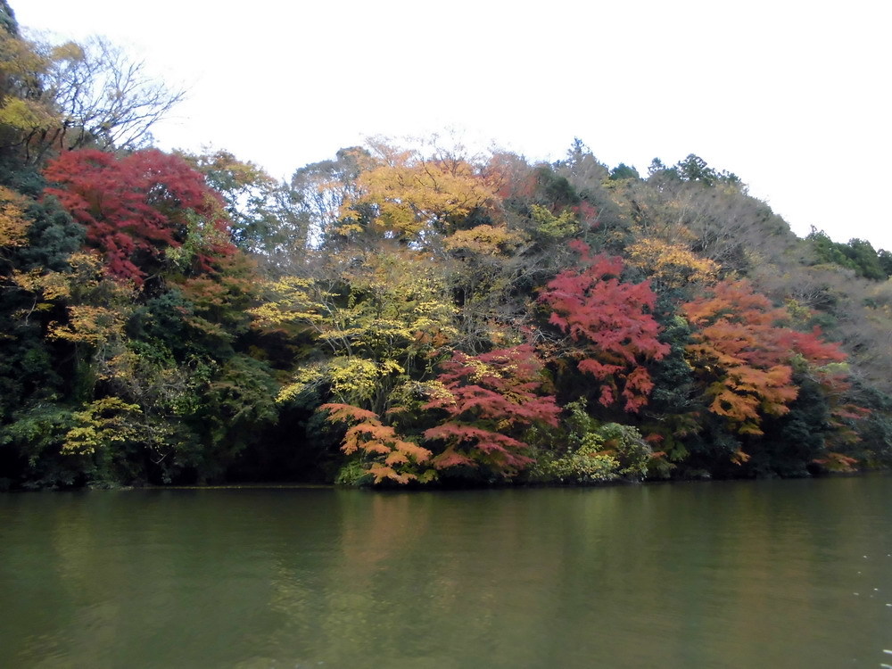 亀山湖4