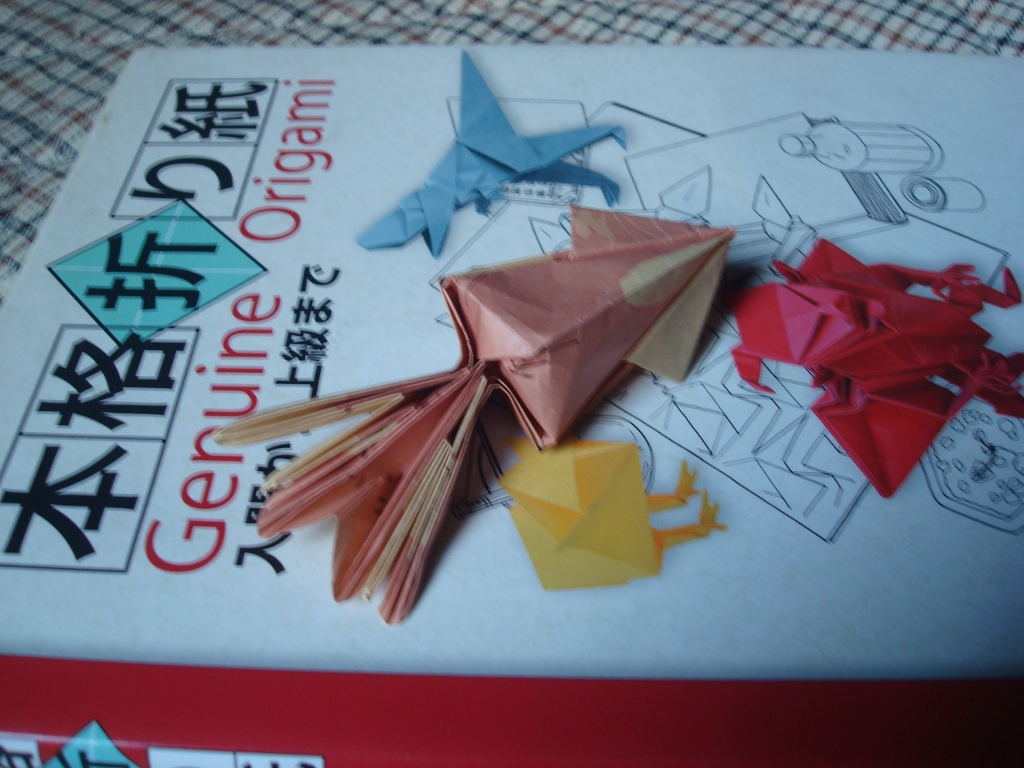 Origami-55.jpg