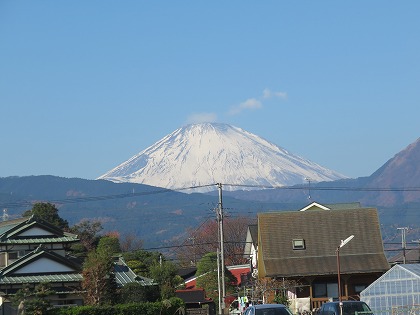 富士山（小田原市栢山） (1)