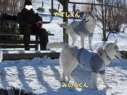八ヶ岳自然文化園で雪遊び