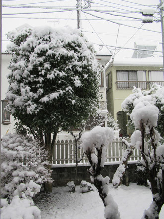 いきなり雪景色