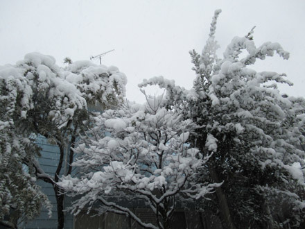 いきなり雪景色