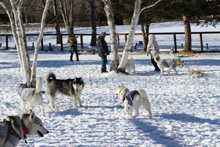 八ヶ岳自然文化園で雪遊び