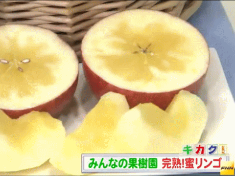 「蜜」いっぱいの福島産リンゴ