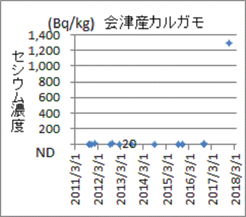 急に上昇した福島・会津産カルガモのセシウム