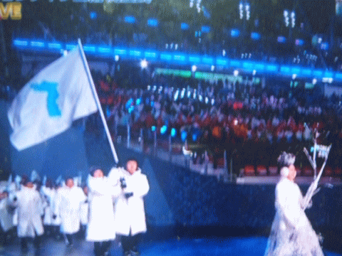 「統一旗」を先頭に入場行進する朝鮮選手団