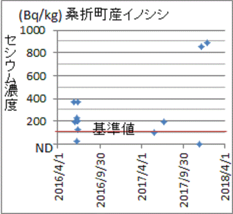 ＮＤから突然に上昇した福島県桑折町産イノシシのセシウム