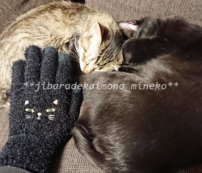 猫手袋2