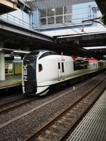 JR東日本 E259系電車 特急「成田エクスプレス」