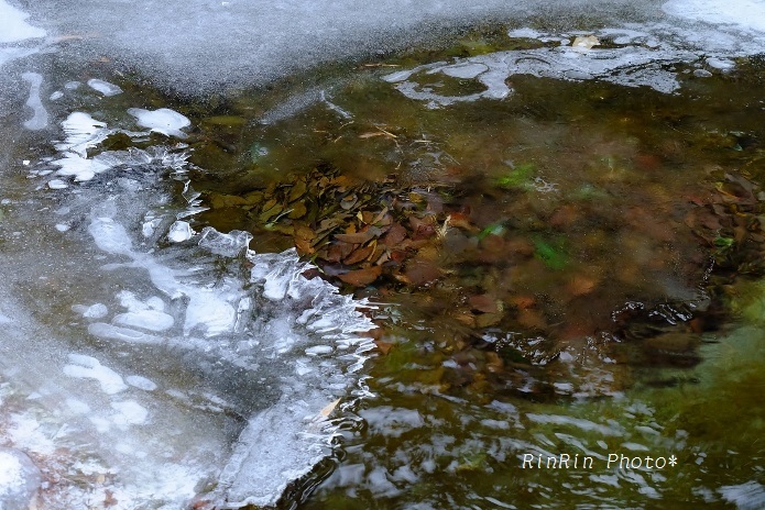 2018年1月横瀬川支流凍る水面
