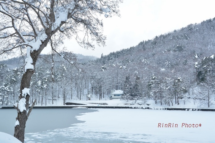 2015年２月木崎湖冬景