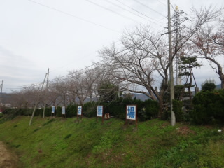 姉川古戦場
