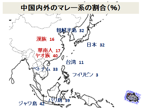 中国内外のマレー系の割合（図）